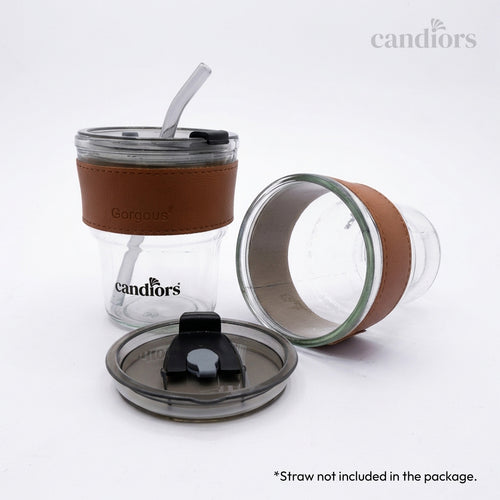 Borosilicate Glass Tumbler with Lid (450 ML)