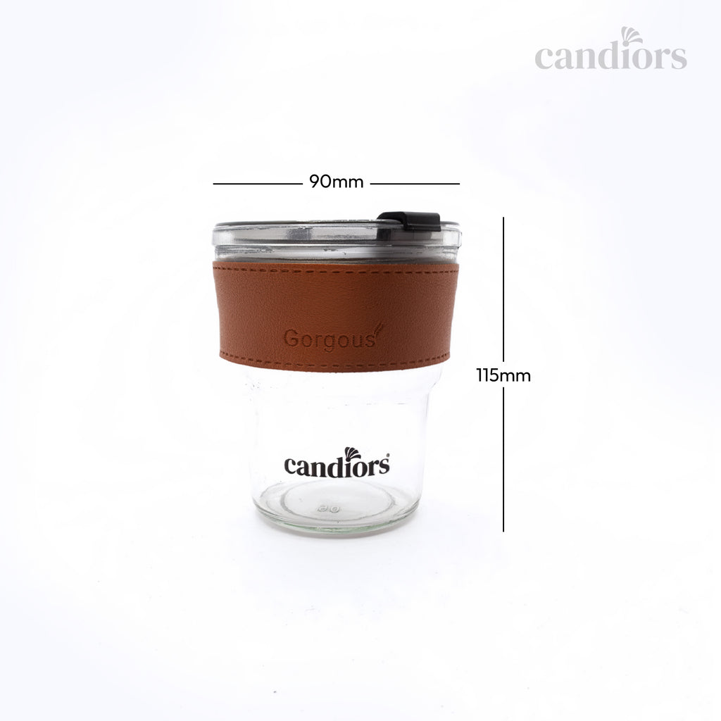 Borosilicate Glass Tumbler with Lid (450 ML)